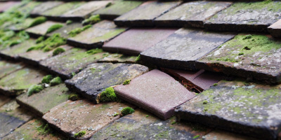 Edwinstone roof repair costs